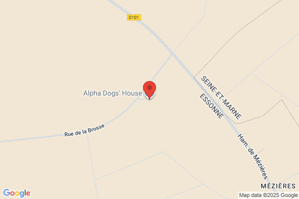 Alpha Dogs