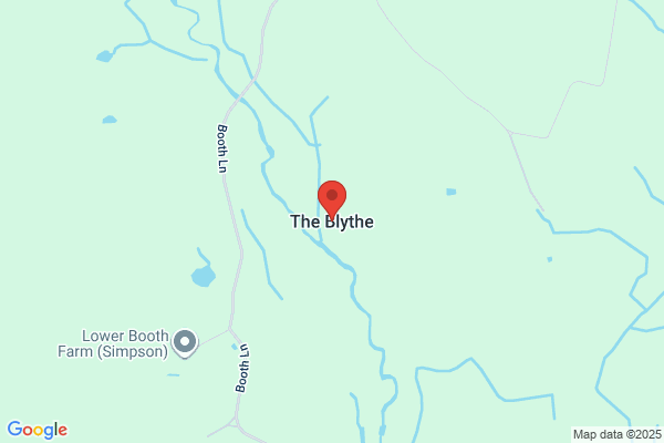 THE BLYTHE GIRL