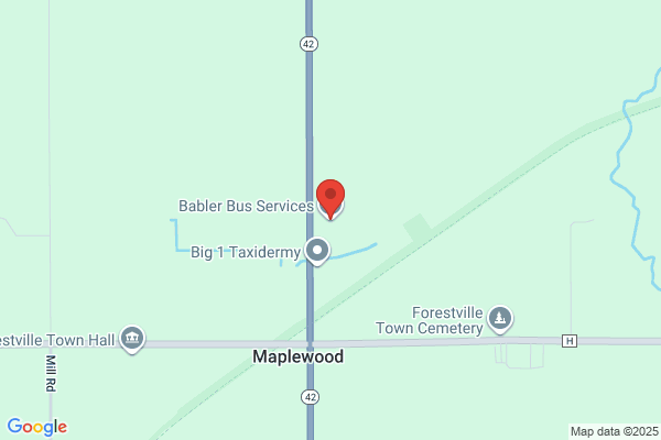 Babler Bus Service