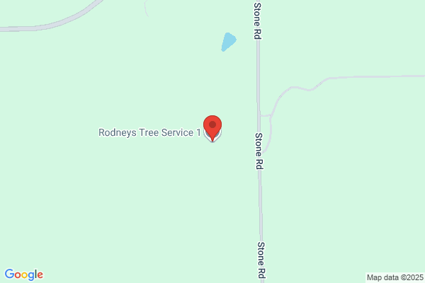 Rodney Tree Service