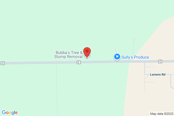 Bubba's Tree & Stump Removal