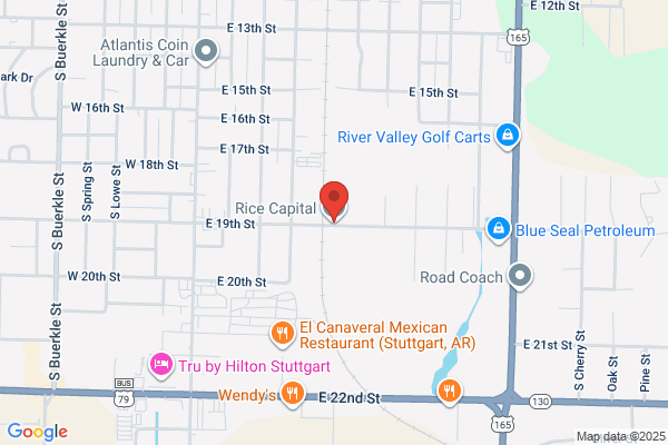 Rice Capital Inc
