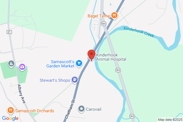 Kinderhook Animal Hospital