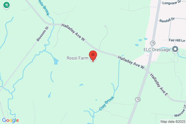 Rossi Marketing, LLC