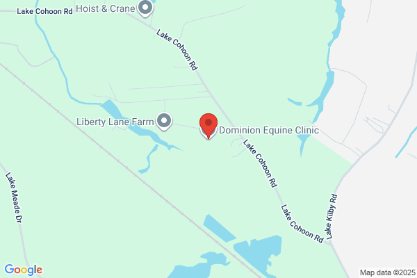 Dominion Equine Clinic