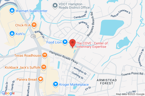 The COVE - Center of Veterinary Expertise