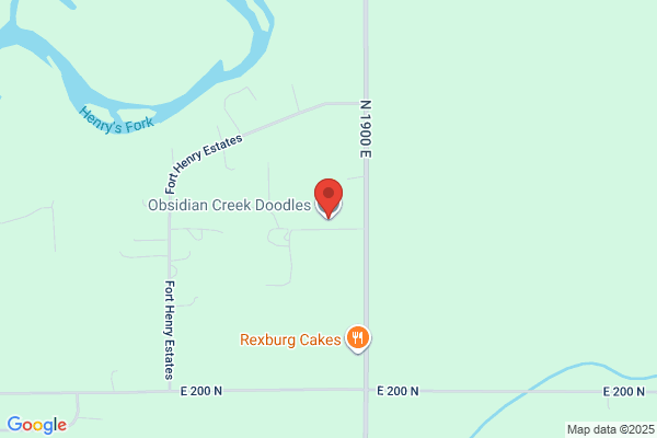 Obsidian Creek Doodles LLC