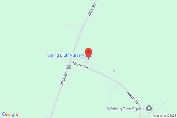 Spring Bluff Nursery