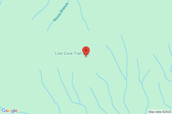 Lost Cove Trekking