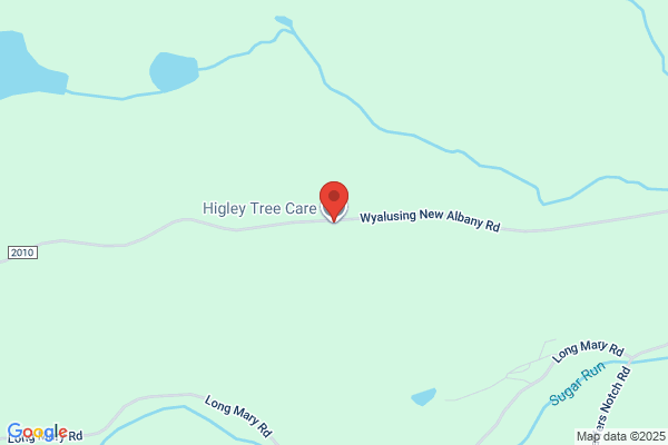 Higley Tree Care LLC