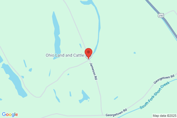 Dundee Cattle Farms