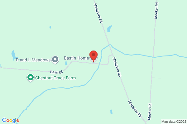 Bastin Homes