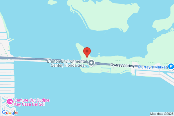 Coral Artisans of Key West Inc