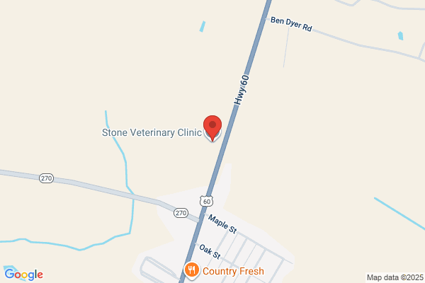 Stone Veterinary Clinic