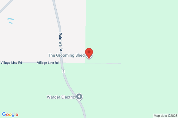 The Grooming Shed Llc