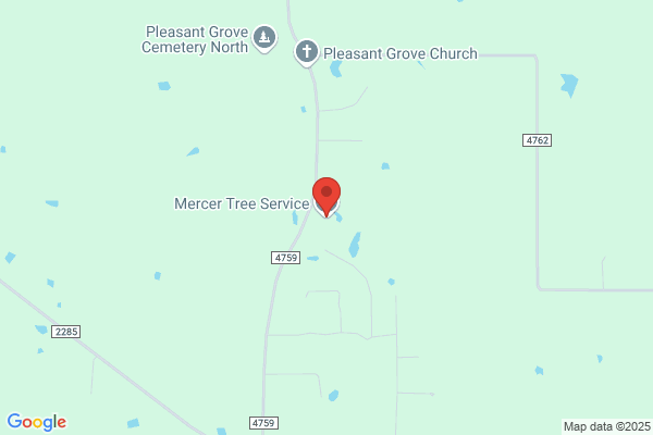 Mercer Tree Service
