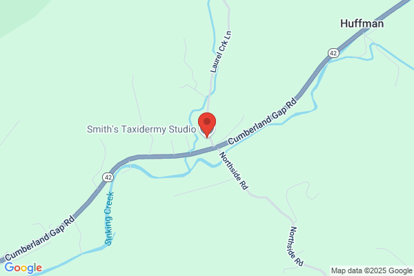 Smith Mountain Taxidermy