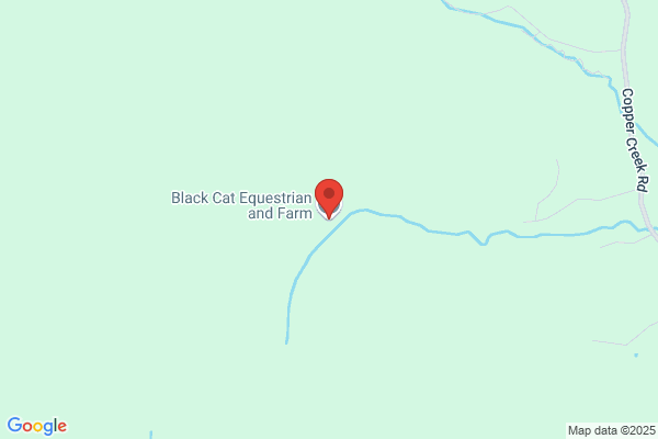 Black Forest Riding Academy