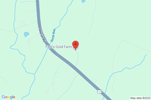 Golden Owl Farm