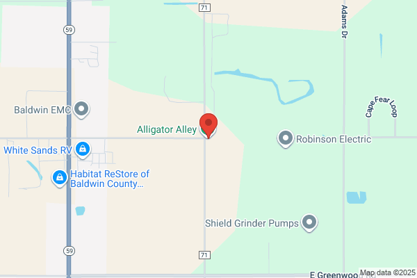 Alligator Alley