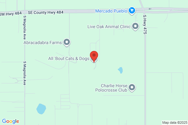 Abcd Kennel