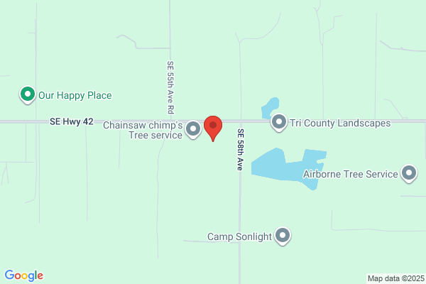 Hwy 42 Salvage