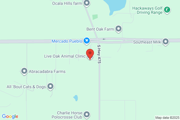Live Oak Animal Clinic
