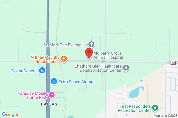 Mulberry Grove Animal Hospital