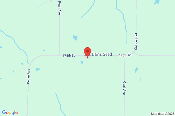 Davis Seed Services