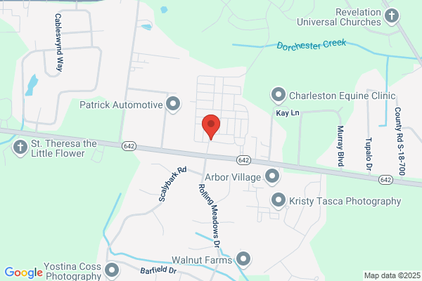 Palm & Oak Lawn Care and Maintenance