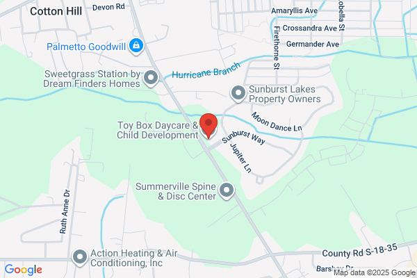 Toy Box Daycare & Child Development Center the