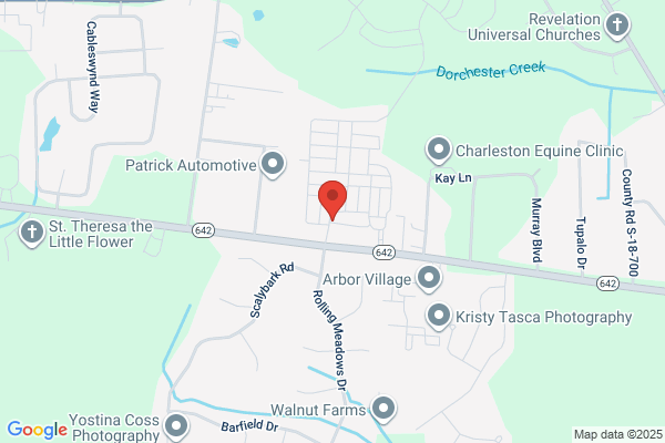 Palm & Oak Lawn Care and Maintenance