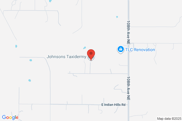 Johnson's Taxidermy