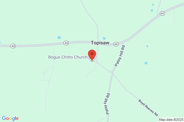 Bogue Chitto Woods
