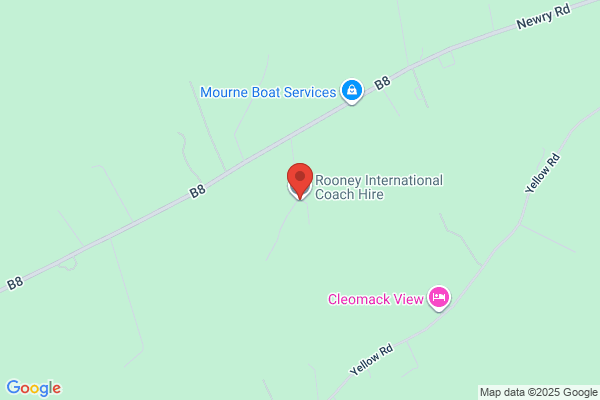 Roney International Inc