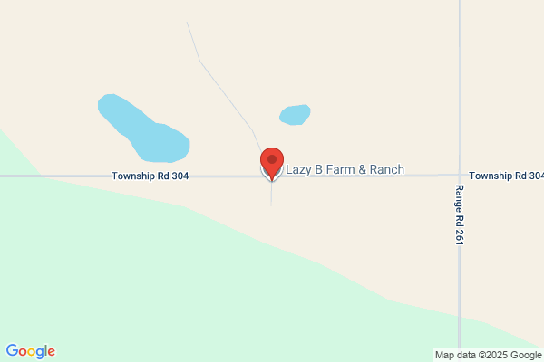 Lazy B Farms