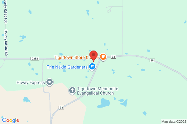 Tigertown Volunteer Fire Department