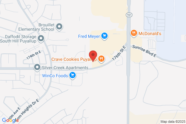 Metro Garage Door Repair Puyallup