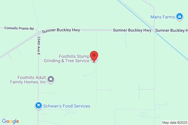 Foothills Tree Service