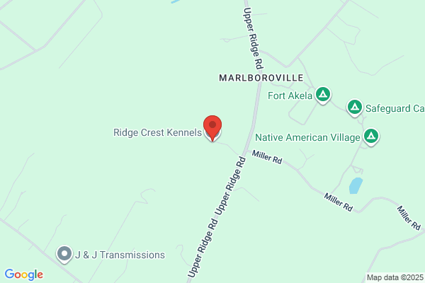 Ridge Crest Kennels