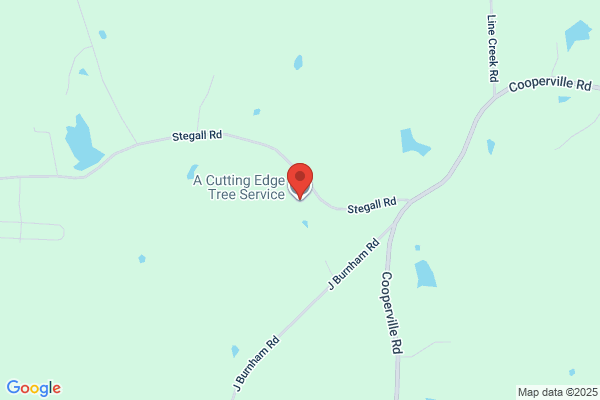 A Cut Above Tree Service MS