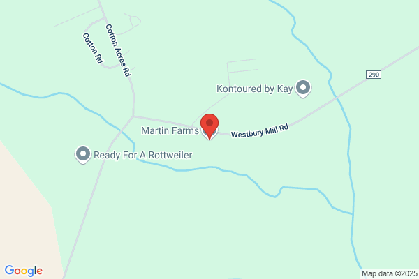 Martin Farms
