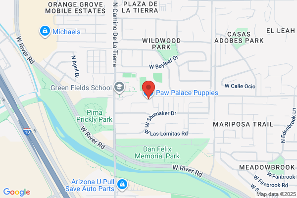 Puppy Palace Llc the