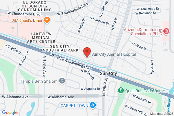 Sun City Animal Hospital
