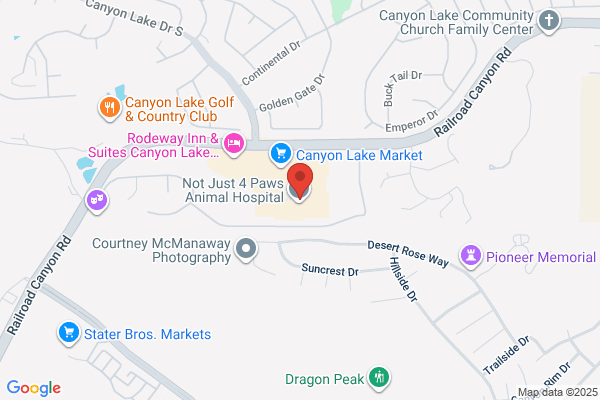 Canyon Lake Dog Grooming