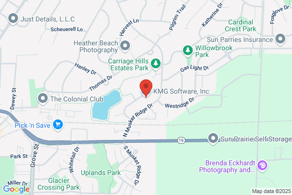 Software Services Inc