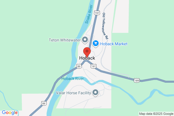 Hoback 600