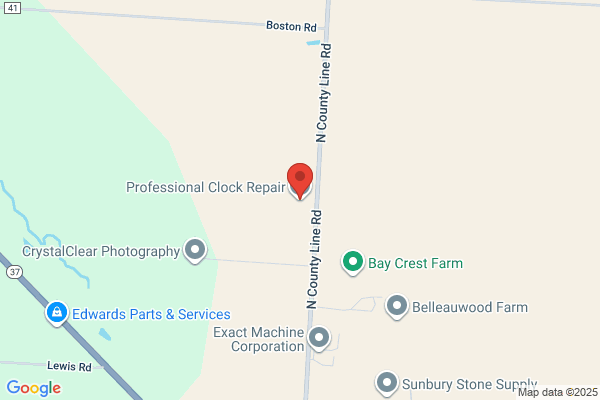 Professional Clock Svc Inc