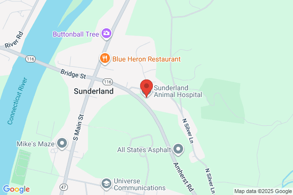 Sunderland Animal Hospital