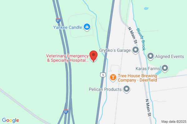 Veterinary Emergency & Specialty Hospital - South Deerfield